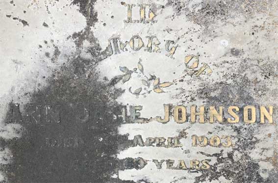 Ann Jane Johnson