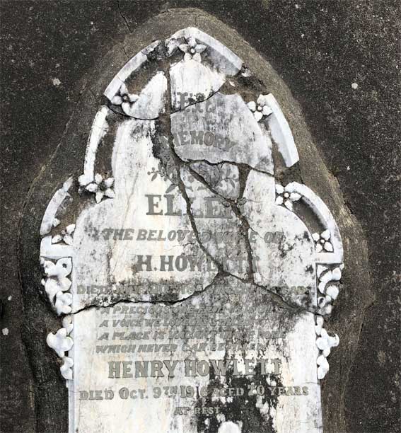 Harry Howlett