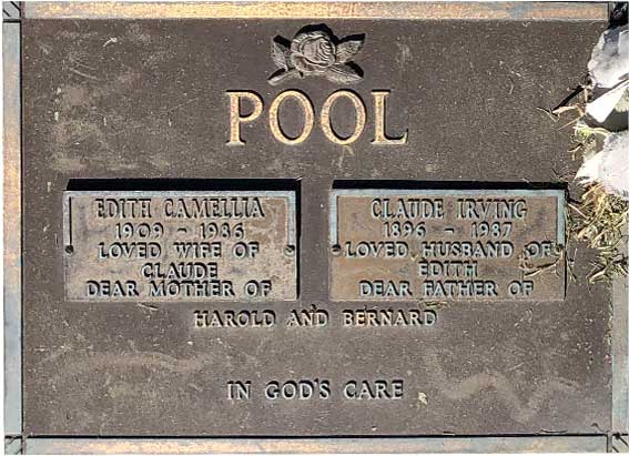 Edith Camellia Pool
