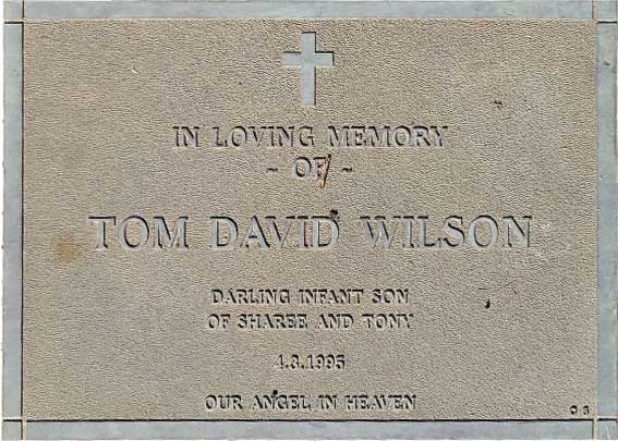 Tom David Wilson