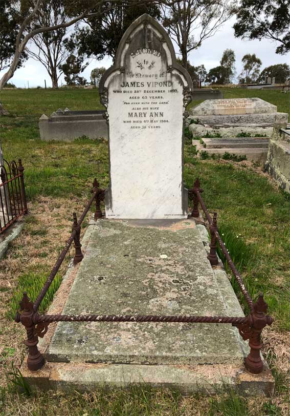 Mary Vipond