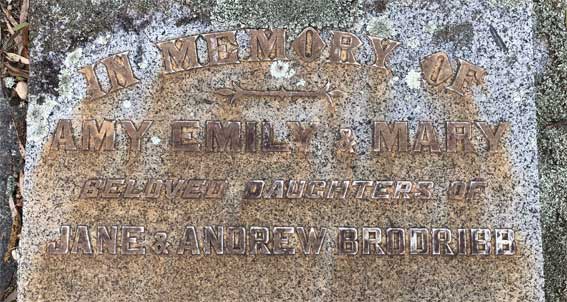 Amy Brodribb