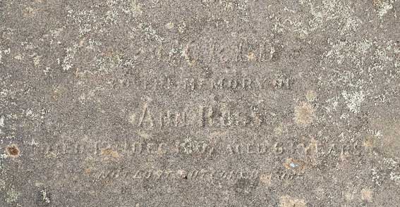 Ann Ross